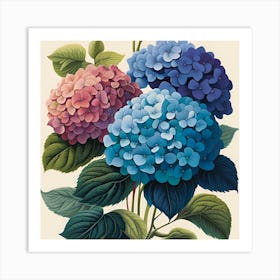 Hydrangeas 1 Art Print