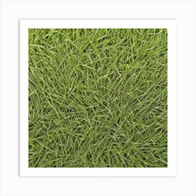 Grass Background Photo 3 Art Print