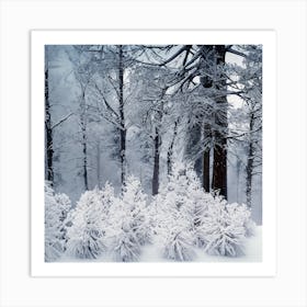 Snowy Forest 6 Art Print