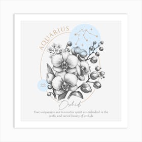 Aquarius Orchids Art Print