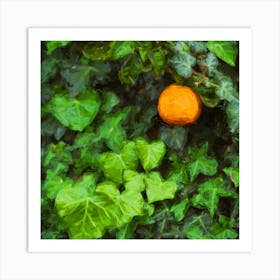 Orange And The Ivy Square Art Print
