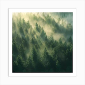 Sunrise In The Forest Art Print