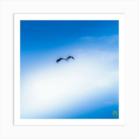 Stork In Flight 20200301 35rt3ppub Art Print