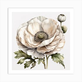 Large white poppy flower 7 Art Print