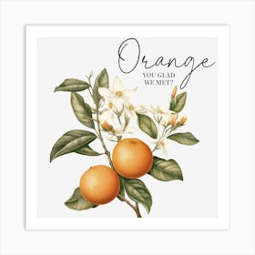 Orange You Old Me Art Print