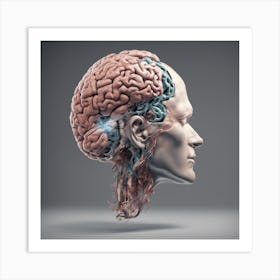 Human Head With Brain Art Print