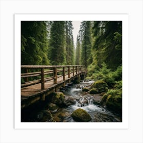 Wooden Bridge In The Forest Art Print