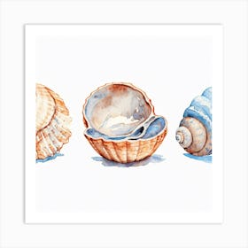 Watercolor Seashells Art Print