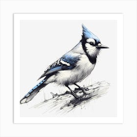 Bluejay ~Reimagined 7 Art Print