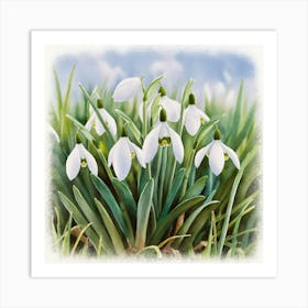 Snowdrops Art Print