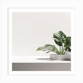 White & Monstera Product background Art Print