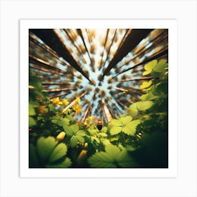 Abstract Photo Art Print