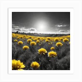 Sunflowers In The Field 1 Art Print