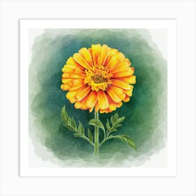 Marigold Art Print