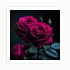 Pink Roses On Black Background Art Print