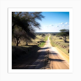 Road in South Africa Art Print