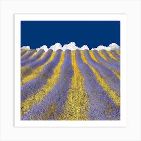 Lavender Heaven Art Print