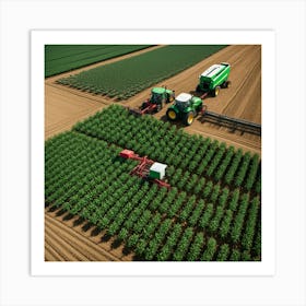 Aerial View Of A Corn Field Art Print