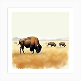 Bison In The Grass Art Print