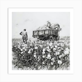 Cotton Field 2 Art Print