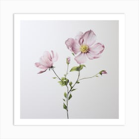 Pink Cosmos Art Print