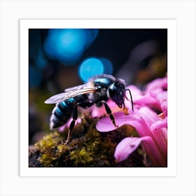 up close sky blue bee on a black rock in a mystical fairytale forest, mountain dew, fantasy, mystical forest, fairytale, beautiful, flower, purple pink and blue tones, dark yet enticing, Nikon Z8 Art Print