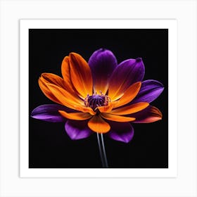 Purple Dahlia Flower Art Print