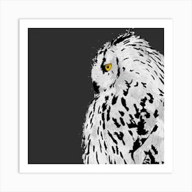 Snowy Owl Square Art Print
