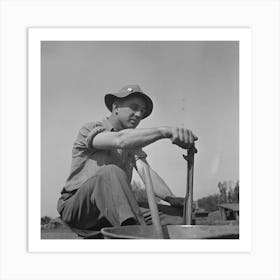 Untitled Photo, Possibly Related To Merced County, California, Planting Peanuts, These Are The First Peanuts To Art Print