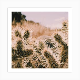 Spikey Cactus Square Art Print