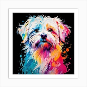 Shih Tzu Art Print