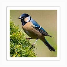 Tit on branch 24 Art Print