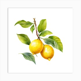 Lemons On A Branch Art Print