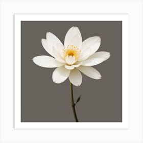 Lotus Flower 1 Art Print