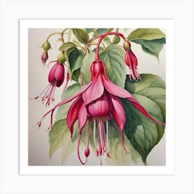 fuchsia study Art Print