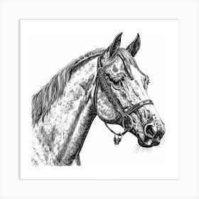 Horse Head 1 Art Print