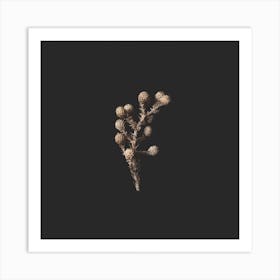 Golden Fynbos Botanicals On Black Square Art Print