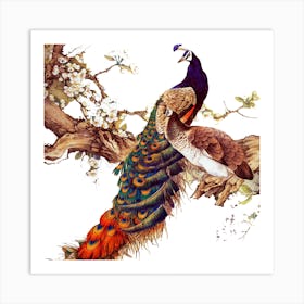 China Peafowl Glass Feather Peacock Art Print