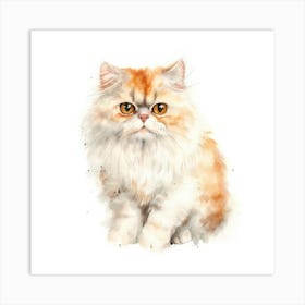 Domestic Shorthair Persian Cat Portrait Art Print