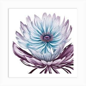 Blue Gerbera Flower Art Print