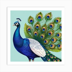 Peacock 4 Art Print