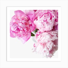 Pink Peonies 3 Art Print