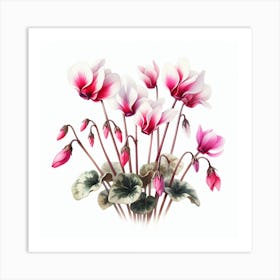 Flowers of Cyclamen 3 Art Print