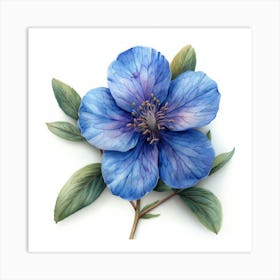 Blue Clematis Poster