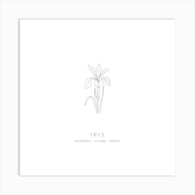 Iris Birth Flower Square Art Print