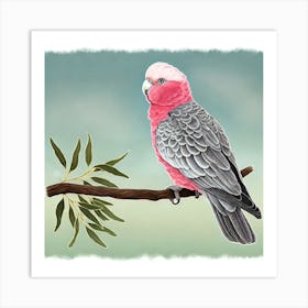 Cockatoo 1 Art Print