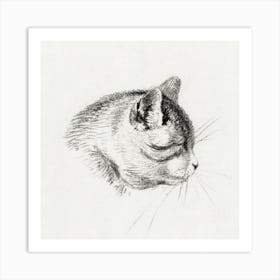 Sketch Of A Cat, Jean Bernard Art Print