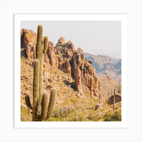 Desert Mountains Cactus Art Print