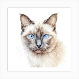 Colourpoint Cat Portrait 3 Art Print