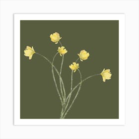 Daffodils 2 Art Print